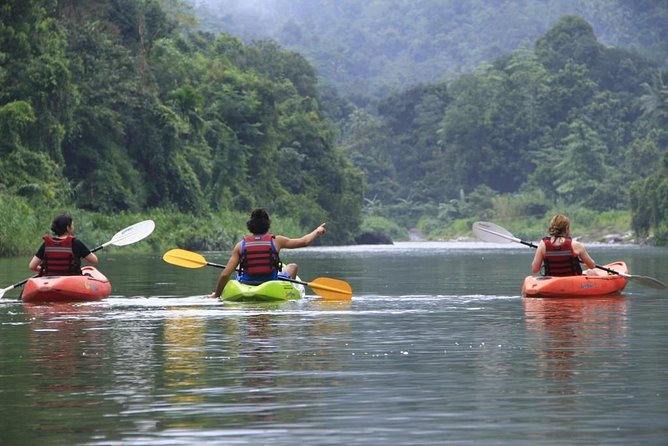 Nuwaraeliya Day Tour & Kithulgala Water Rafting from Kandy,Colombo or Ella - What the strongest feedback tells you