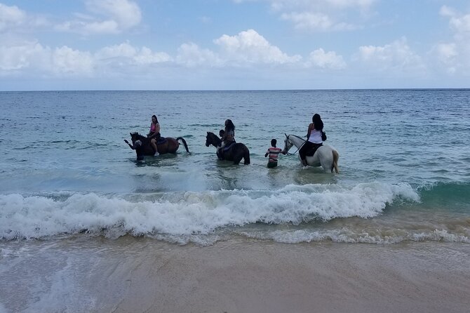 Ocho Rios Private Horse Riding, River Tubing and Rafting[Entry fee not included] - Who will enjoy this combination tour most