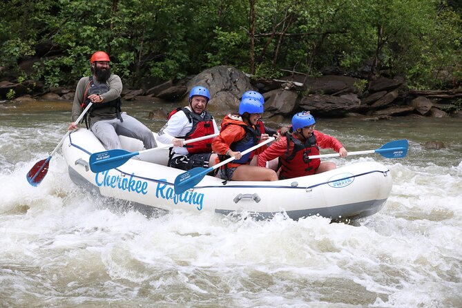 Ocoee River Middle Whitewater Rafting Trip (Most Popular Tour) - Key points to know before you book