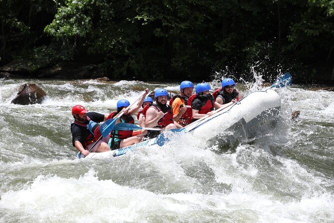 Ocoee River Middle Whitewater Rafting Trip (Most Popular Tour) - What the three-hour schedule really includes