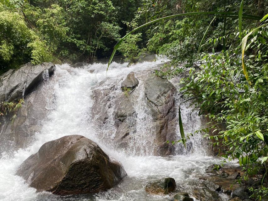 Phuket: Bamboo Rafting, Monkey Cave, and ATV Option - Sea turtle conservation with a useful purpose