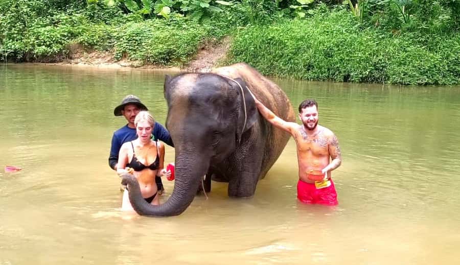 Phuket Ethical Nature Adventure: Rafting, Turtles & Elephant - Sea turtles and the work behind their recovery