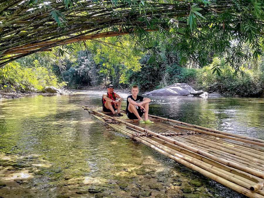 Phuket Ethical Nature Adventure: Rafting, Turtles & Elephant - Meeting elephants under observation-only rules