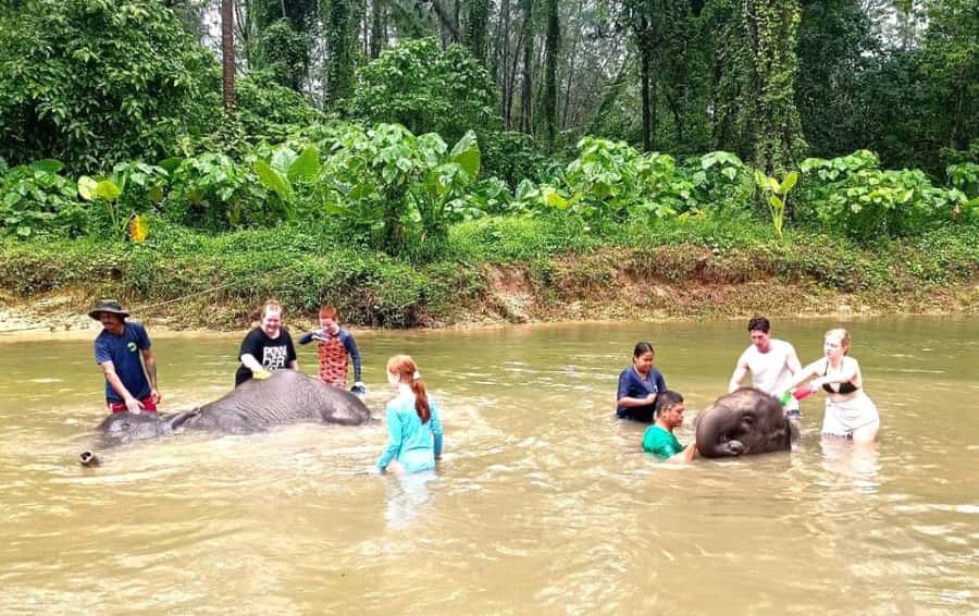 Phuket Ethical Nature Adventure: Rafting, Turtles & Elephant - Making a Thai herbal inhaler