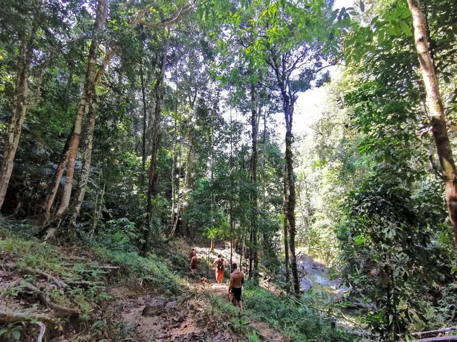 Phuket: Monkey Cave, Water Rafting, Zipline with ATV Option - A short zipline through the trees