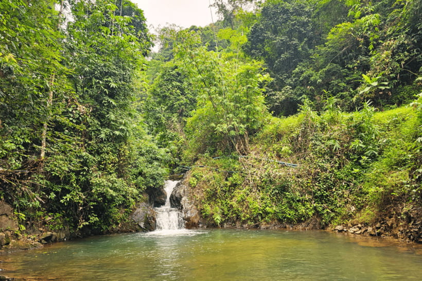 Phuket: White Water Rafting, ATV, and Zipline Adventure - Lunch in Song Phraek