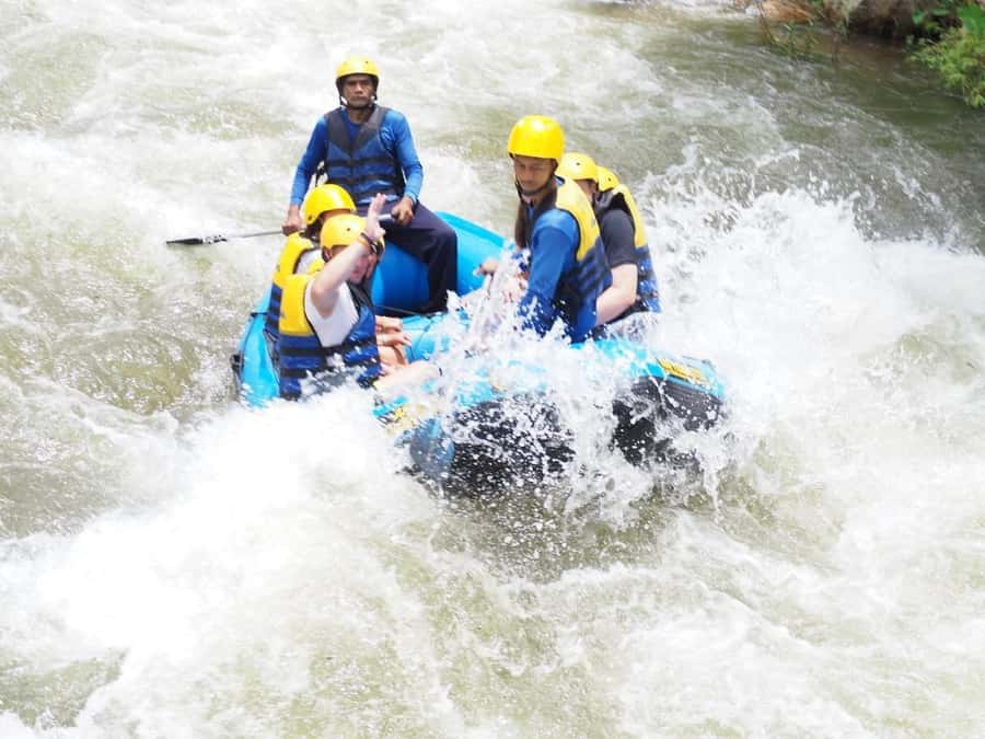 Phuket: White Water Rafting, Zipline, and Elephant Sanctuary - Meeting the elephants in the forest