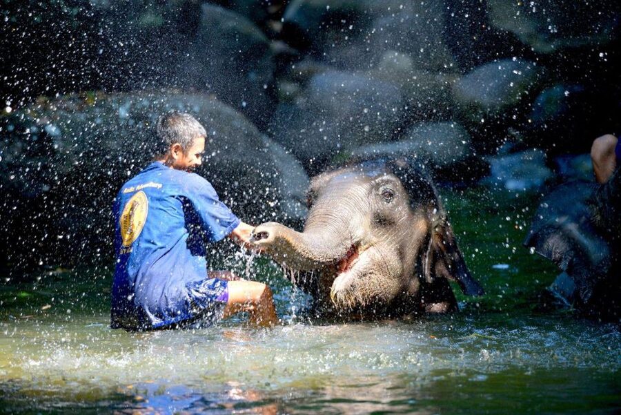 Phuket: White Water Rafting, Zipline, and Elephant Sanctuary - The long road between Phuket and Phang Nga