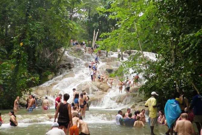[PRIVATE]Dunn's River & Martha Brae Rafting - Entrance & Lunch - Key points to know before you book