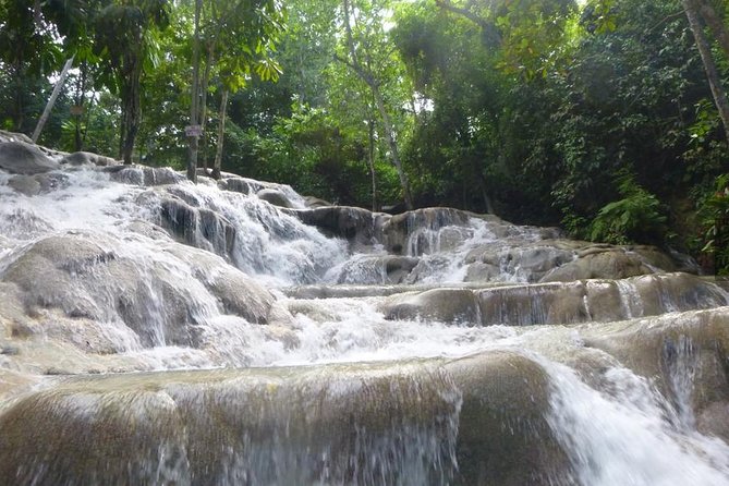 [PRIVATE]Dunn's River & Martha Brae Rafting - Entrance & Lunch - Martha Brae River: a calm start on a bamboo raft