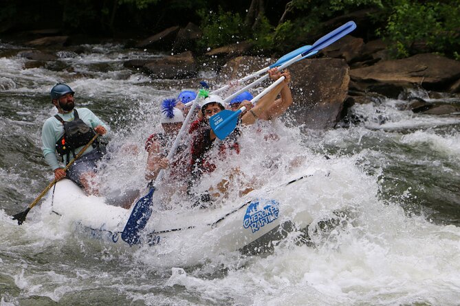 Private/High Adventure Whitewater Rafting Tour With Shore Snack - Stops for swimming, snacks, and a little exploring