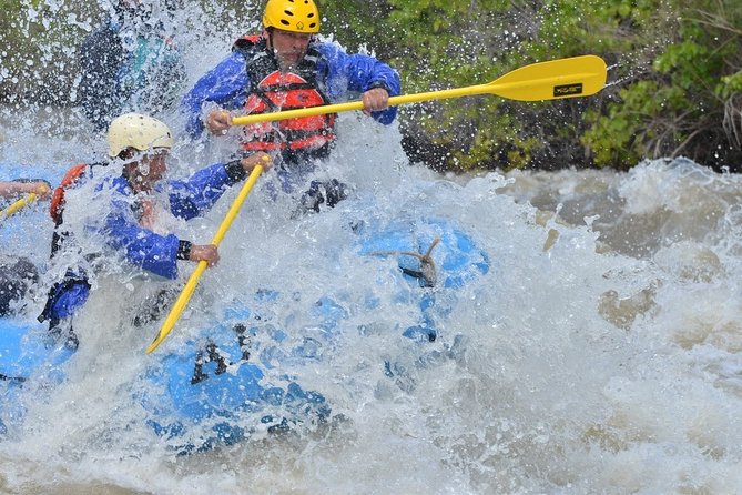 Professionally Guided High Adventure Rafting Trip - Royal Gorge - Is $149 a fair price for this rafting trip?