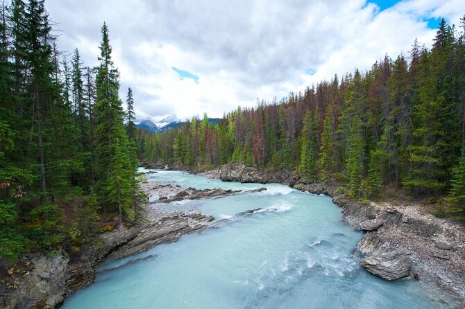 Rafting Adventure on the Kicking Horse River - Key points before you book