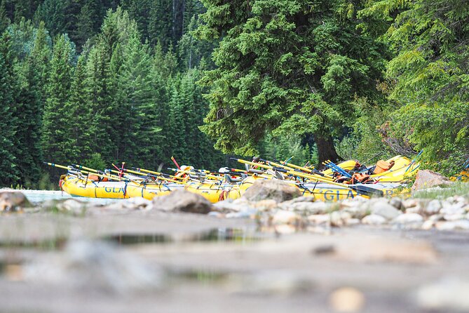 Rafting Adventure on the Kicking Horse River - Lunch, food choices, and the long-day value