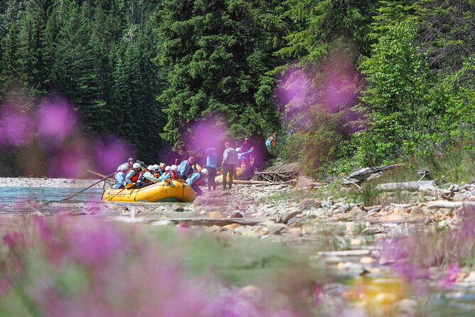 Rafting Adventure on the Kicking Horse River - Who should book this rafting trip