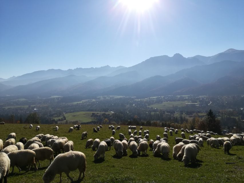 Rafting on Dunajec & Zakopane Tour – Day Trip from Krakow - Two Polish mountain regions in one long day