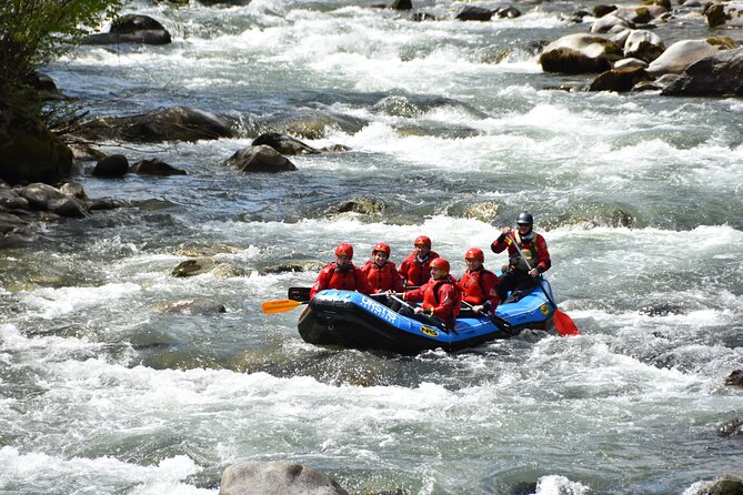 Rafting Power in the Noce stream in Ossana - Is $90.51 a fair price?