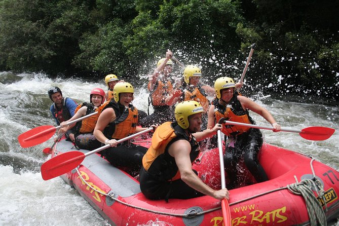 Rangitaiki River White Water Rafting from Rotorua - What the Rangitaiki rafting day is really like