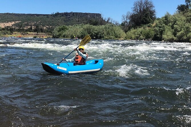 Rogue River Family Float & Discovery Park-Rafting and Kayaking - Who should choose this Rogue River float?