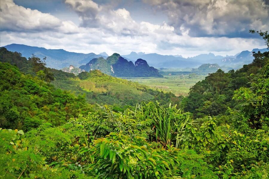Sok River: Bamboo Raft Ride, Monkey Temple & View Point Tour - Who should book this Khao Lak excursion?