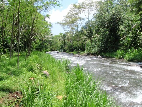 Telaga Waja River Rafting Bali & Zipline (Less Stairs) - Fewer stairs make a real difference