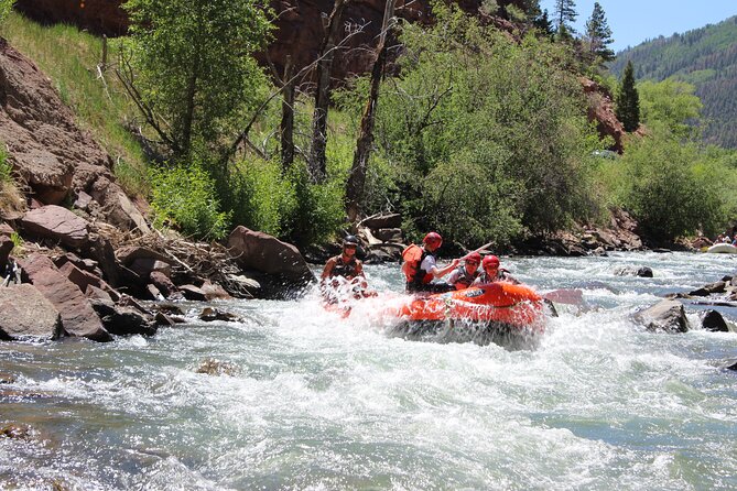 Telluride 1 Day Rafting Trip with Lunch - San Miguel River - Meeting at Caddis Flats Campground