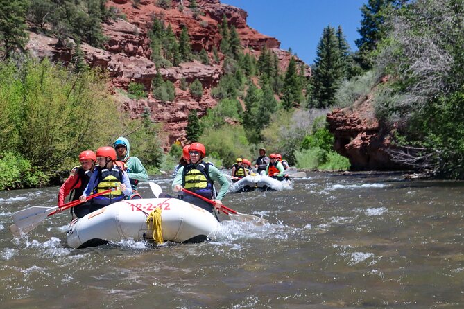 Telluride Morning Half Day Rafting Trip - San Miguel River - Key points to know before you book