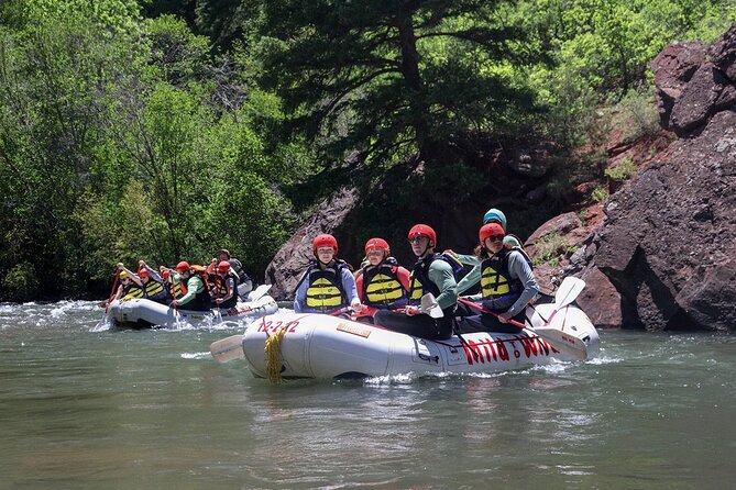 Telluride Morning Half Day Rafting Trip - San Miguel River - How challenging is the paddling?