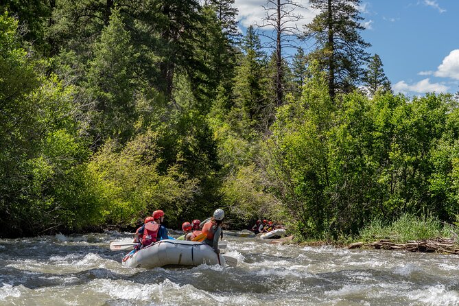 Telluride Morning Half Day Rafting Trip - San Miguel River - The river scenery is part of the attraction