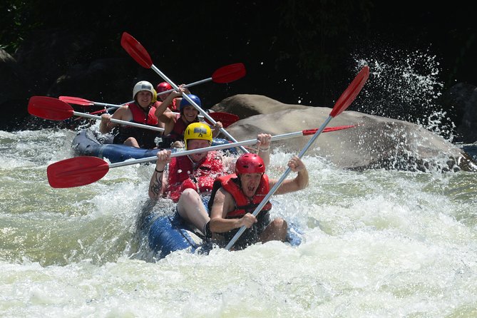 Tully River White Water Rafting Half day- from Mission Beach - Why the Tully River makes a fine half-day adventure