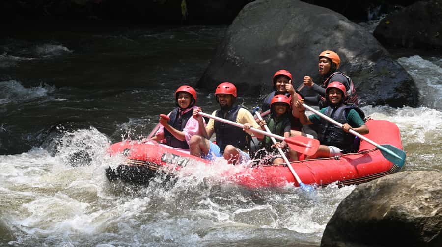 Ubud: Ayung River Guided Rafting Adventure with Lunch - My verdict on the Ayung River experience