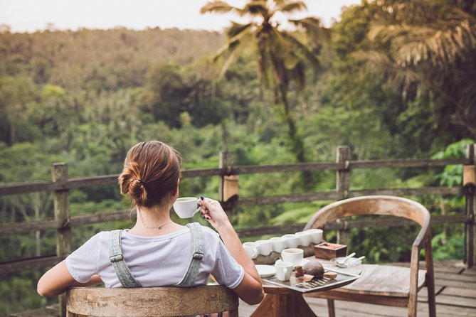 Ubud White Water Rafting, Rice Terrace and Jungle Swing - Is $65 good value for this Ubud day?