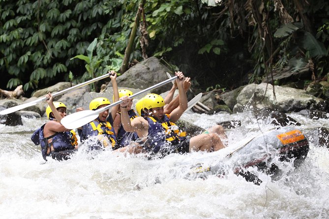Ubud White Water Rafting, Rice Terrace and Jungle Swing - Who should book this experience?