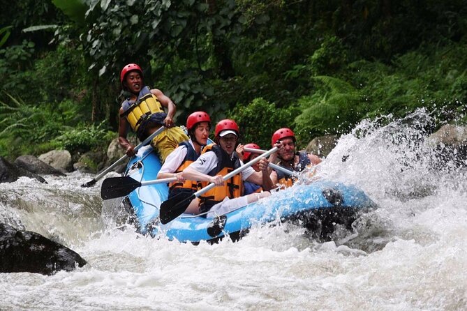 Ubud White Water Rafting with Waterfall and Lunch - A scenic start at Bali Bintang Rafting