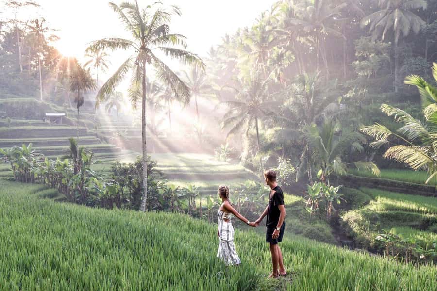 Ubud: Zip-line Adventure, River Rafting & Rice Terraces Tour - Rafting the Ayung River for two to three hours