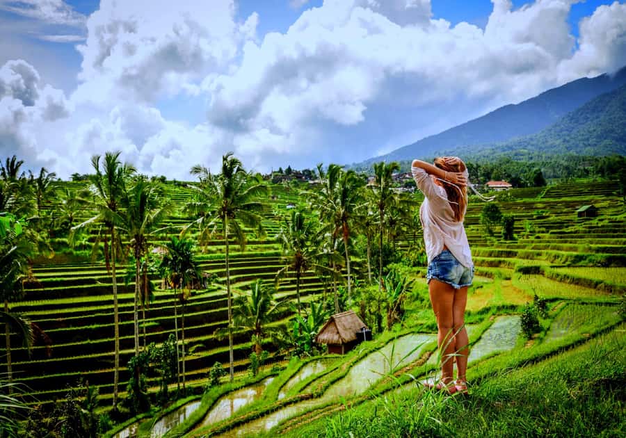 Ubud: Zip-line Adventure, River Rafting & Rice Terraces Tour - Drivers can make or break the day