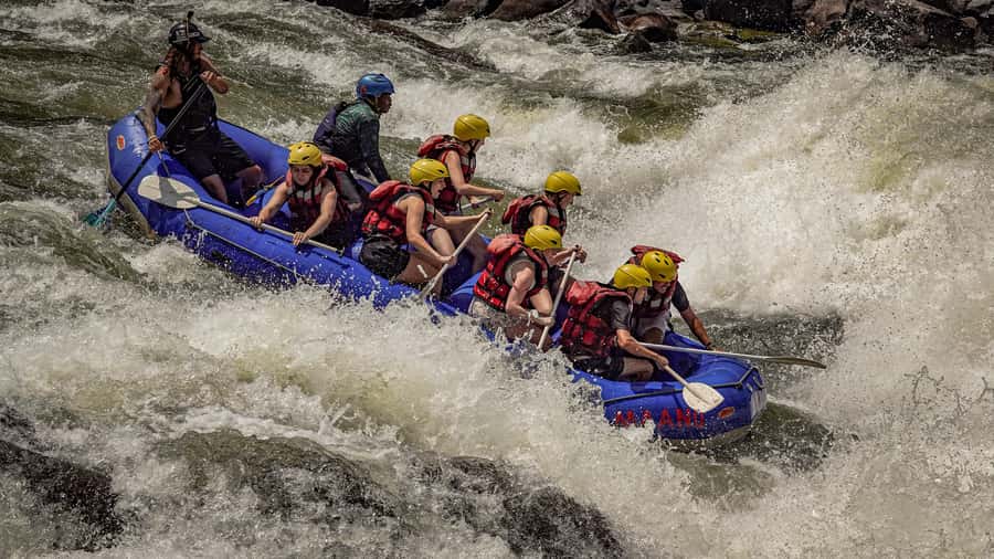 Victoria Falls: Zambezi Half-Day Rafting - From Livingstone or Victoria Falls to the river