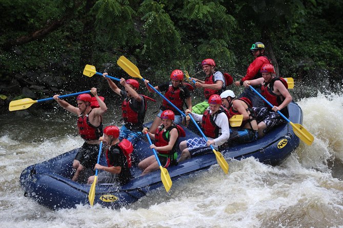White Water Rafting Experience on the Upper Pigeon River - Key points to know before you book