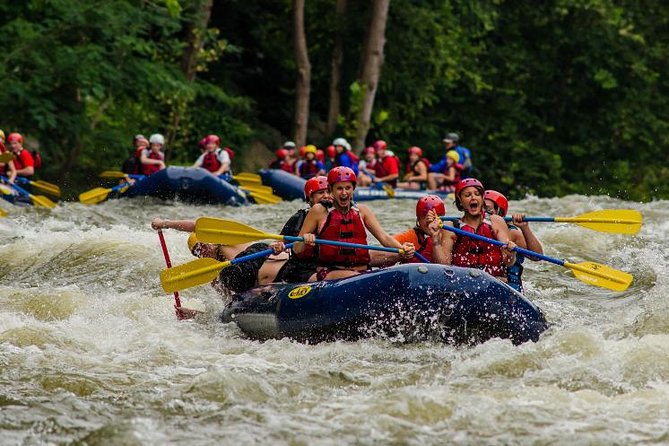 White Water Rafting Experience on the Upper Pigeon River - The rapids: Snapdragon, Powerhouse, and the rhythm of the ride
