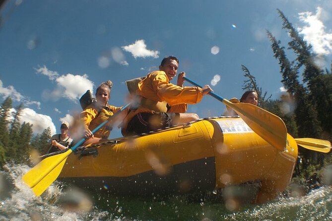 Whitewater Rafting Adventure in Jackson Hole - Classic Boats - Who will enjoy this Jackson Hole rafting run?