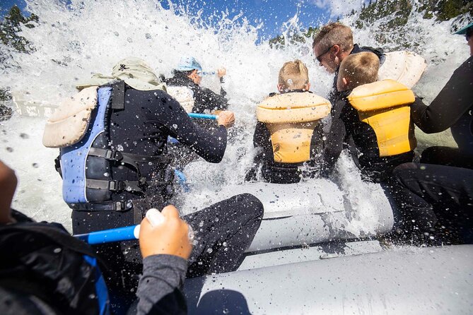 Whitewater Rafting in Jackson Hole : Family Standard Raft - Eight miles of Snake River whitewater