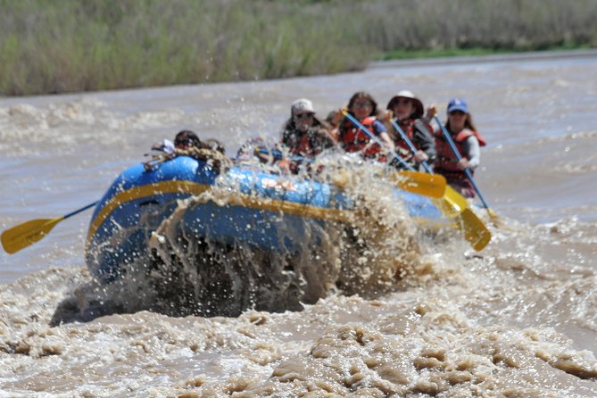 Whitewater Rafting on the Colorado River - Paddling through the Fisher Towers section