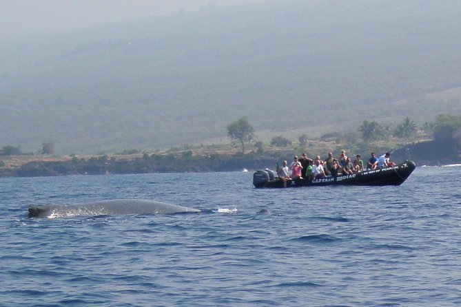 Zodiac Raft Whale Watching Adventure - Hearing humpbacks through the hydrophone
